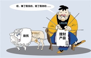 上市公司 不务正业 忙理财 洋河今年金额最大