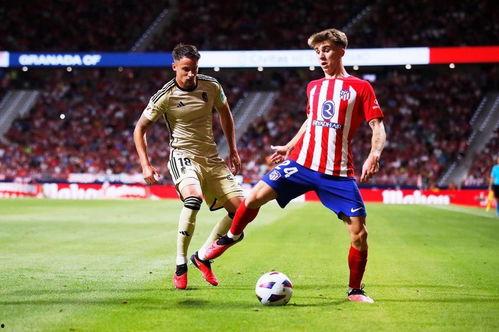 23-24赛季西甲第21轮：格拉纳达vs马德里竞技,“激战正酣！格拉纳达vs马德里竞技第21轮对决前瞻”