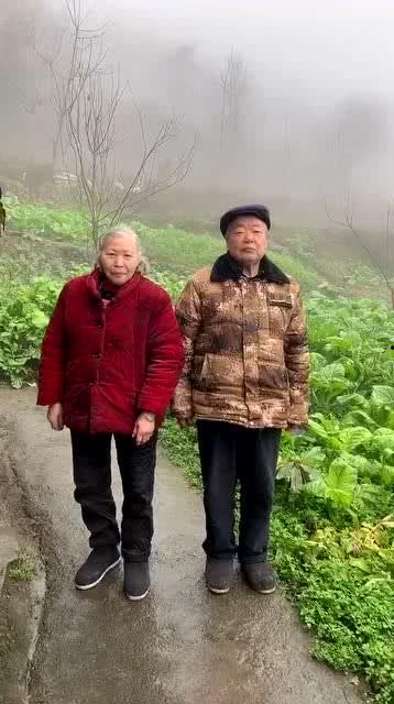 回到奶奶病重的那天,回忆与思念交织的时光